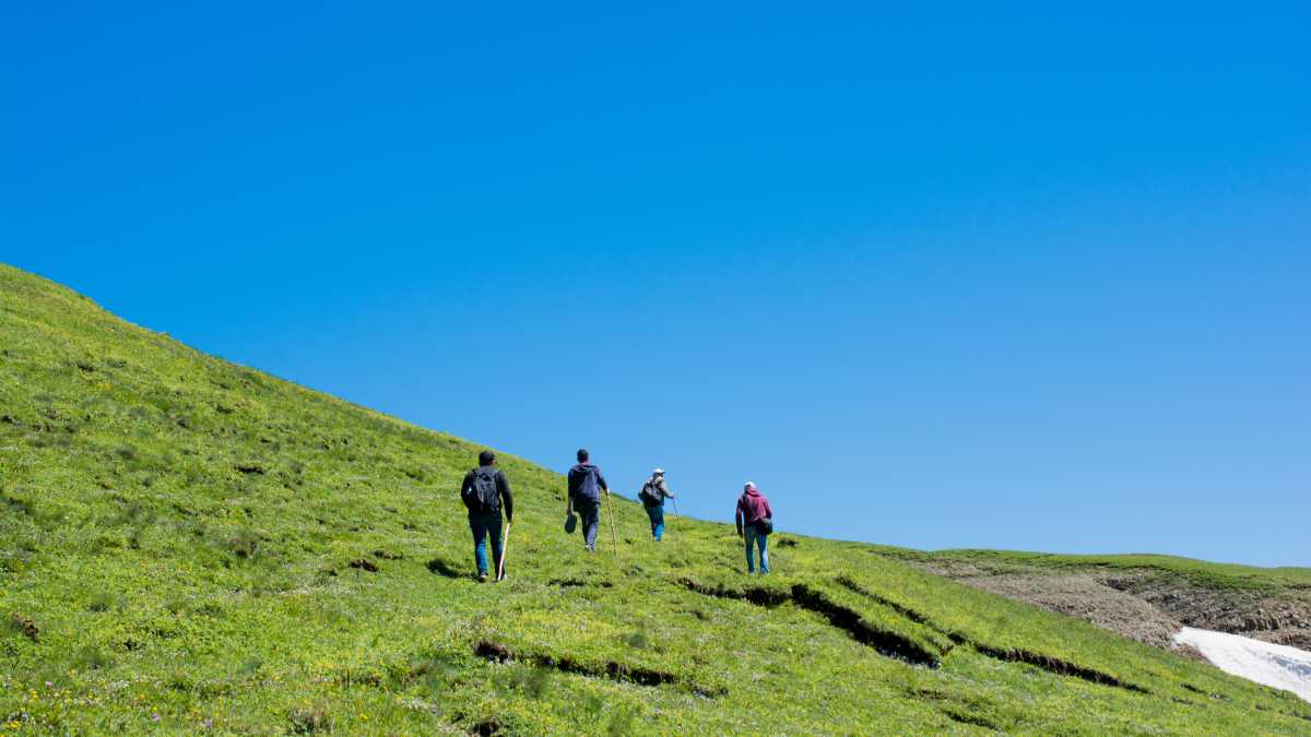 I migliori trekking vicino a Cosenza: avventure nella natura calabrese