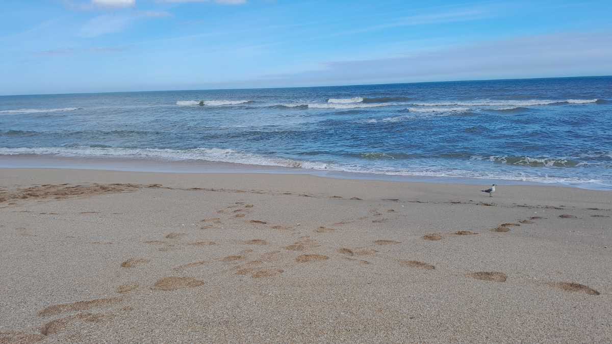 Le Spiagge Più Belle di Locri: Un Incanto della Magna Grecia