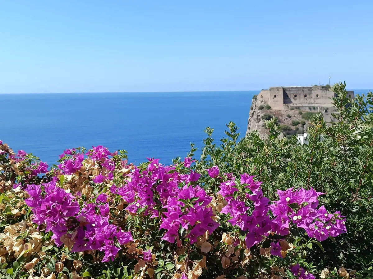 Ponte di Ognissanti 2026 in Calabria: dove andare e cosa fare