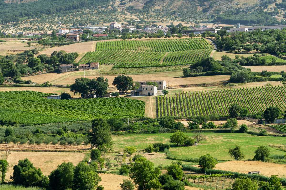 Panorama di Castrovillari con famiglie in esplorazione