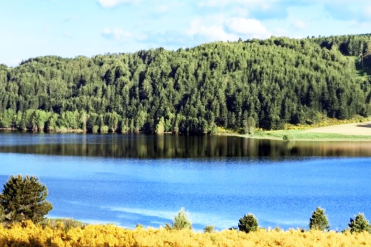 Scorcio della natura incontaminata di Camigliatello Silano