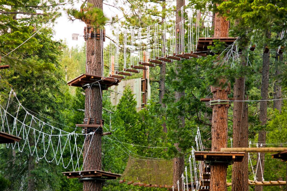 Bambini che si divertono in un parco avventura vicino Tropea, evidenziando le attività per famiglie