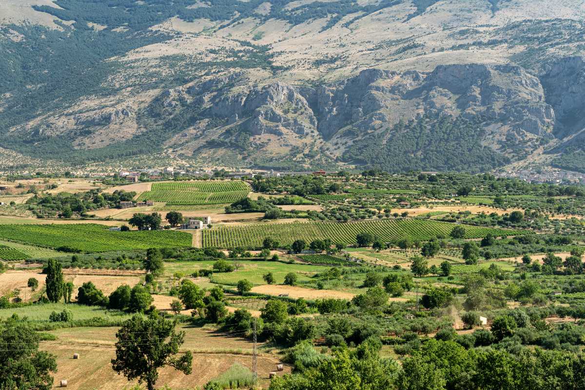 Vista panoramica di Castrovillari con il Parco Nazionale del Pollino sullo sfondo, ideale per catturare la bellezza del paesaggio.